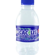Desa Mineral Water 250ml (48 bottles)