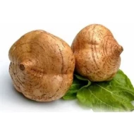Turnip   Sengkuang 1kg
