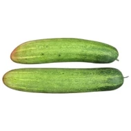 Cucumber   Timun