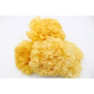 Snow Fungus 40g