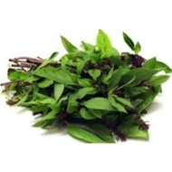Basil Leaves, Daun Selasih (sold per kg)