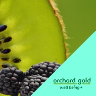 ORCHARD GOLD KIWI MIX 500G (8 Units Per Carton)