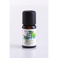 Essential oil Peppermint